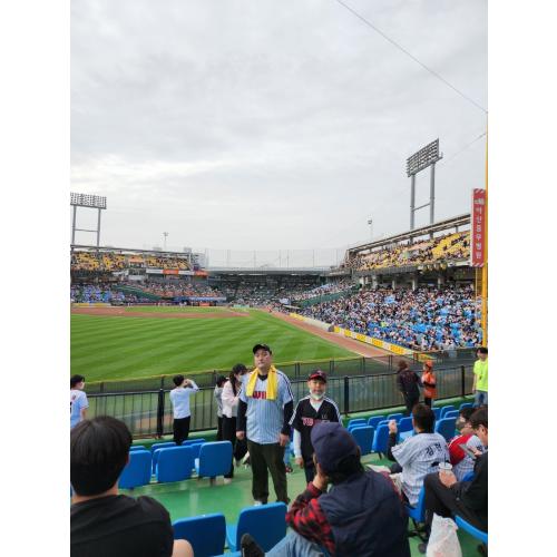 안영도
