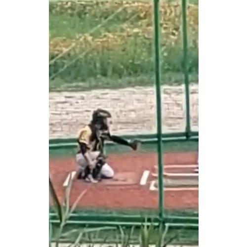 안종연