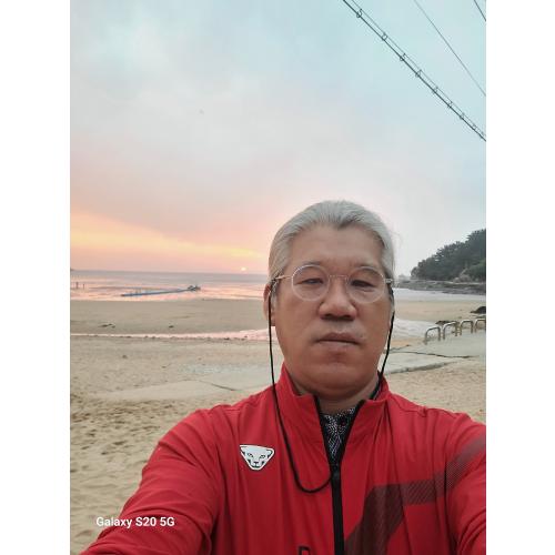 손호필