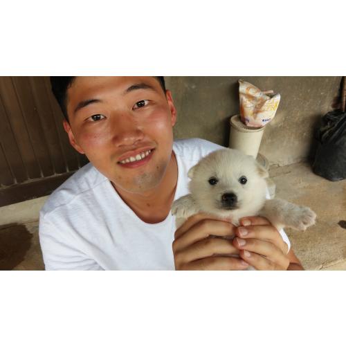 유영탄