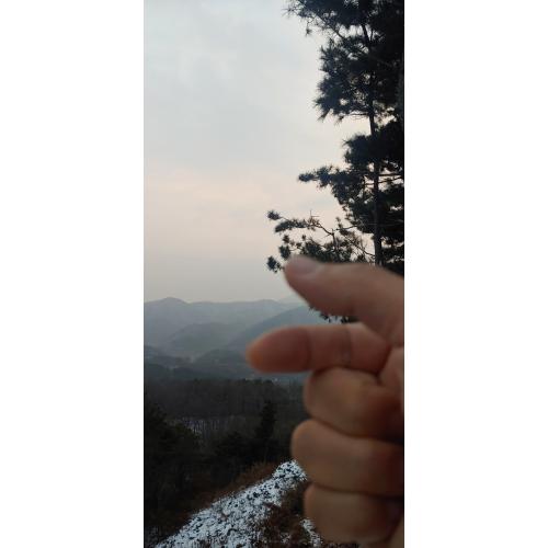 정환수