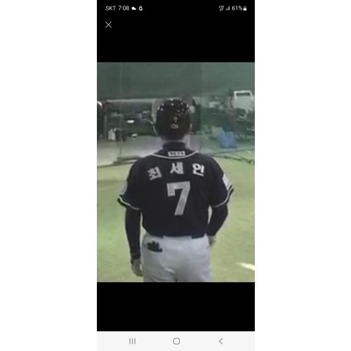 최세인