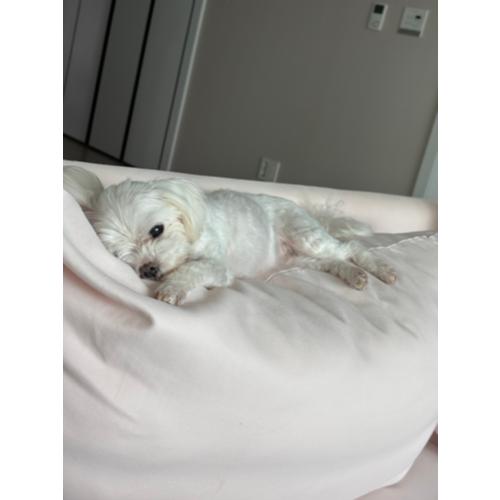 이윤조