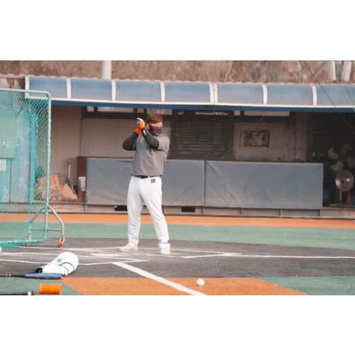 채승일